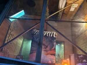 Campings l'aquarium : photos des chambres