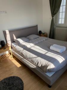 Appartements Les gentianes : photos des chambres