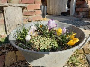 Déconnectez-vous parmi les animaux dans une étable