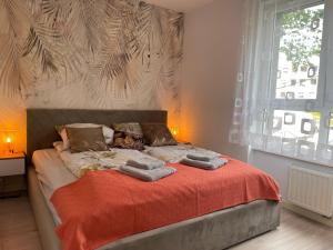 Apartament - jak w domu - Wrocław 70m2 Rynek 6,5km