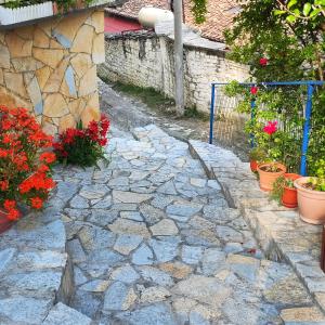 Kurti Apartment Old Town