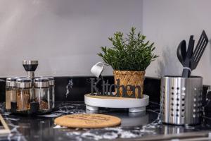 Delmar Luxury 2BR Apartment 3