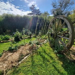 Chambre et animaux de la ferme
