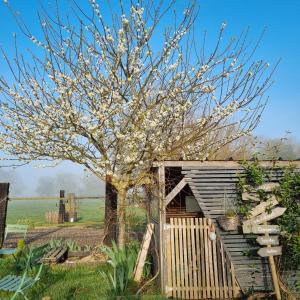 Chambre et animaux de la ferme