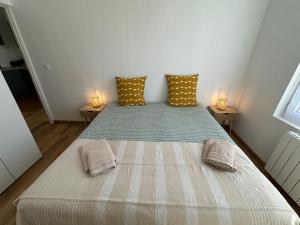Appartements Chez Camille & Emma - Hyper Centre Climatise : photos des chambres