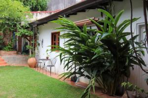 Depto privado con jardín y piscina en casa colonial - Centro de Asunción