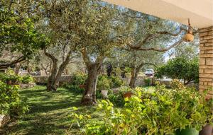 Amazing Apartment In Podsolarsko