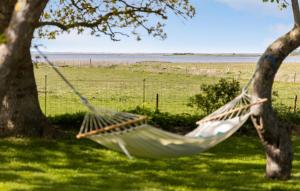 Gorgeous Home In Bogense With Kitchen