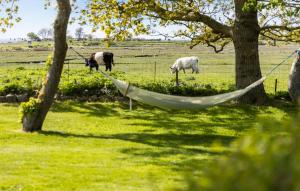 Gorgeous Home In Bogense With Kitchen
