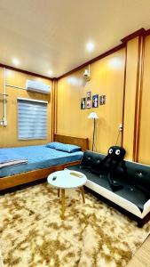 Cat homestay