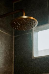 La Belle Hollow Trees