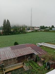 LA97 Homestay