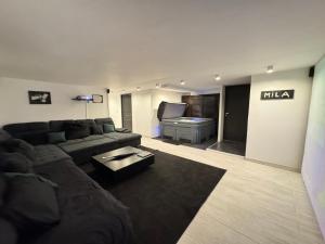 9m of center, Cannes high luxe Villa Mila 6bdrooms heated pool Sauna cinema fitness