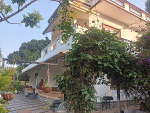 Wild Mist Homestay