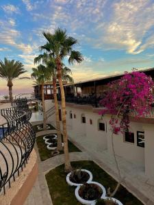 Campotel Nuweiba