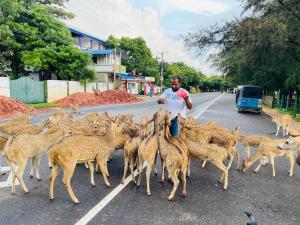 Aussie Bed and Breakie!