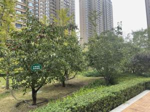 GYA Hotel Taiyuan Jinyang Street Grand Shanxi Hospital