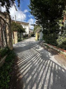 Luce mediterranea a Monreale