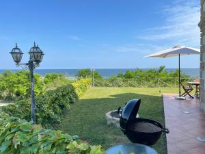 La Volpe Nella Pineta