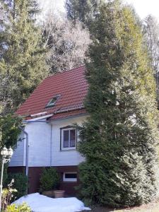 Ferienwohnungen-Waldblick-Wohnung-1