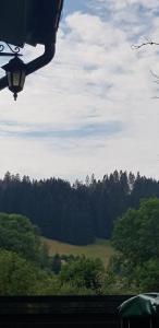 Ferienwohnungen-Waldblick-Wohnung-1