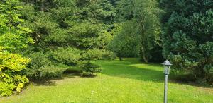 Ferienwohnungen-Waldblick-Wohnung-1