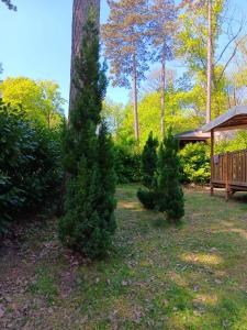 Maisons de vacances Bungalow charmant avec piscine partagee a Saint-Cheron : photos des chambres