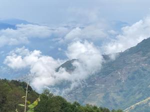 First Nature Homestay