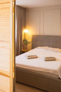 Downtown Central&Cozy Apartment Unirii w Balcony