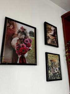 The Nest Above Sofia Studio