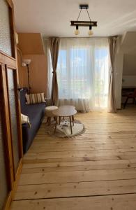 The Nest Above Sofia Studio