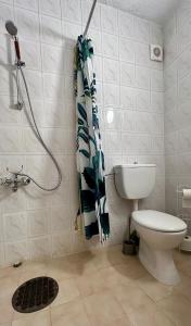 The Nest Above Sofia Studio