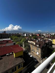 The Nest Above Sofia Studio