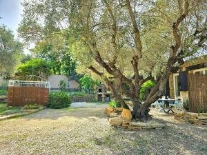 La Chambre Sous Les Oliviers - Très cocooning avec grand jardin, borne recharge électrique, à 5min du centre - BY AURAconciergerie