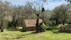 Domaine Le Font Figuière