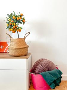 Apartament przy Rynku