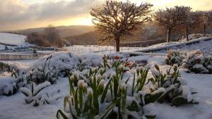 Holiday Home - Ground Floor room in Fewo-Eifel-Morsbach