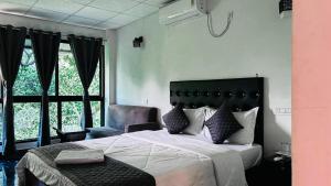 ROOTS by MOUNT OLIVE