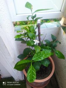 Etxalo, apartamento con terraza en Gorliz