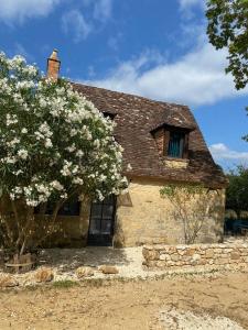 Maisons de vacances Maison Perigourdine pres de Bergerac avec Spa prive : photos des chambres
