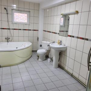 Conacul de la Dunăre, Eșelnița