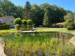 Morning Glory Huisje Salvia