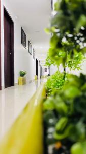 THE PLAZA, Very Close to Indira Gandhi Square, Near Sri Kamatchi Hotel, 100 feet Road, PONDICHERRY - JR Groups