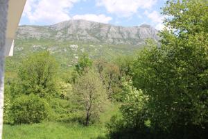 Spacious Holiday Home - Serene Village Near The Coast