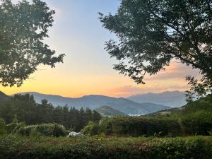 Campings Village de chalets et camping La Pierre de l'Aigle : photos des chambres