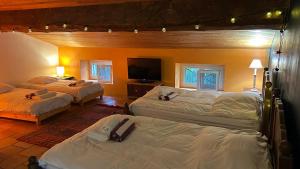 Villas Villa Rouge Corbieres : Villa