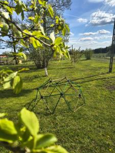 DOM w JESIONACH Brajniki - działka 1 HEKTAR