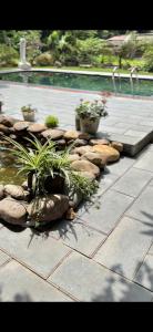 Hang Mua Nature Homestay