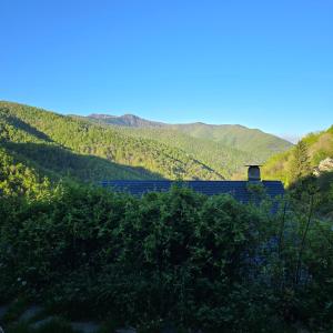 Chalets Nid Panoramique : photos des chambres
