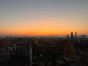 Jaipur The Lodge B&B